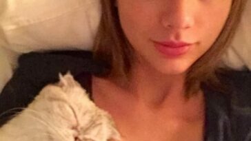 Taylor Swift Nude & Sexy (197 Photos + Possible LEAKED Sex Tape Porn Videos) [Updated]