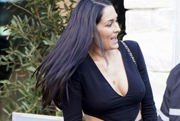 Nikki Bella Cleavage Was Seen Too Many Times