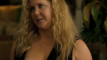 Amy Schumer Nude Scene In Snatched Movie - FREE VIDEO