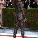 Dakota Johnson Stuns in a See-Through Outfit at The 2022 Met Gala in NYC (47 Photos)