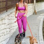 Danielle Vasinova Flaunts Her Fit Figure While Walking Her Dogs in LA (13 Photos)