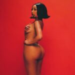 Doja Cat Sexy (80 Photos)