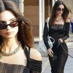 Emily Ratajkowski Bares It All in a See-Through Dress While Out Walking Her Dog in New York (33 Photos)