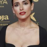 Inma Cuesta Shows Off Her Sexy Tits at the 36th Goya Awards (24 Photos)