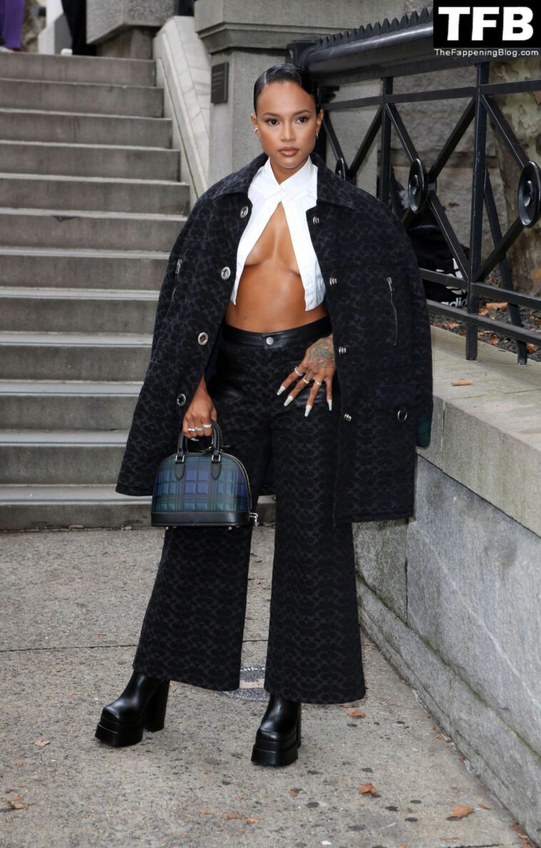 Karrueche Tran Shows Off Her Underboob in New York (12 Photos)