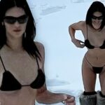 Kendall Jenner Shows Off Her Sexy Bikini Body (4 Photos)