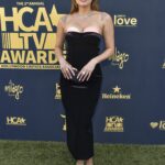 Lake Bell Poses at the 2nd Annual HCA TV Awards in Beverly Hills (10 Photos)