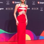 Braless Milena Smit Looks Hot in a Red Dress at the Feroz Awards (28 Photos)