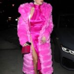 Nicole Williams English Rocks All Pink For Dinner in Santa Monica (31 Photos)