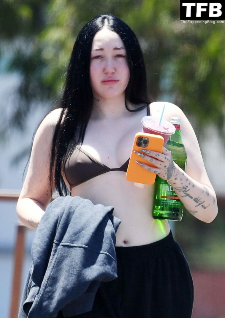 Noah Cyrus Slips Into a Bikini Top Cooling Off From the Sweltering Heat with Her Boyfriend in LA (17 Photos)