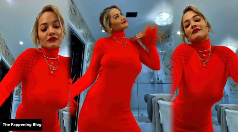 Rita Ora Braless (11 Pics + Video)