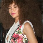 Zendaya Nip Slip (3 Photos)