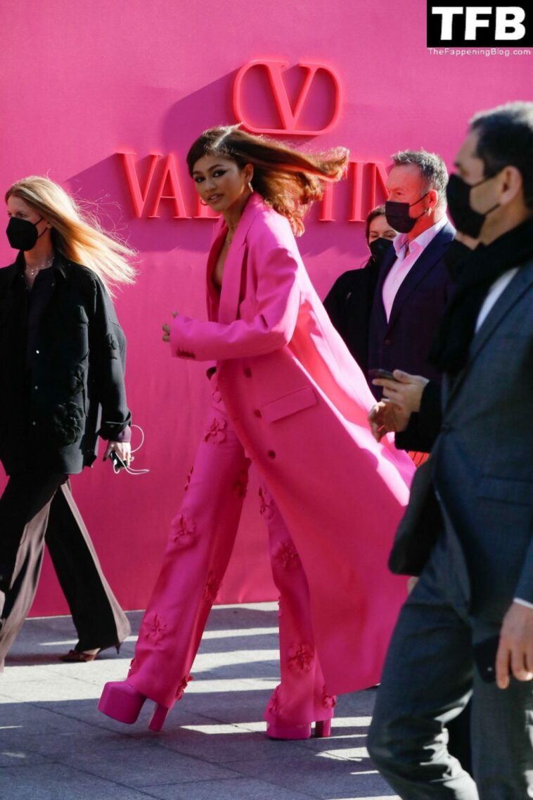 Braless Zendaya Attends the Valentino Womenswear Show in Paris (44 Photos)