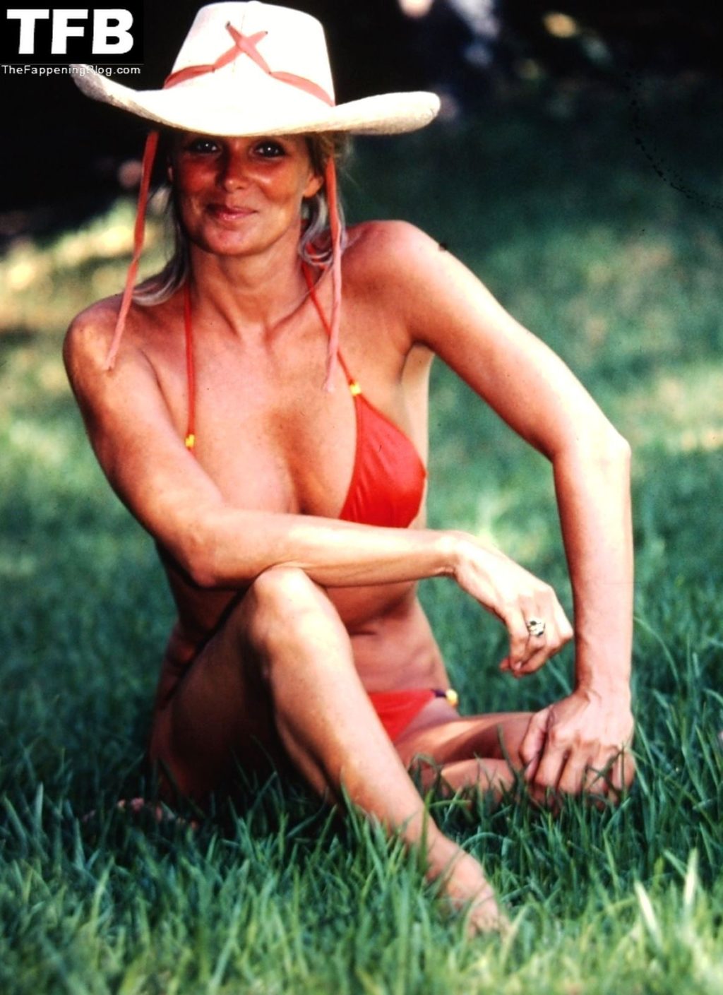 Linda Evans Nude & Sexy (6 Photos)