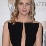 Rhea Seehorn Sexy (7 Photos)