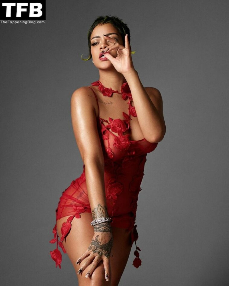 Rihanna Sexy Collection (20 Photos)