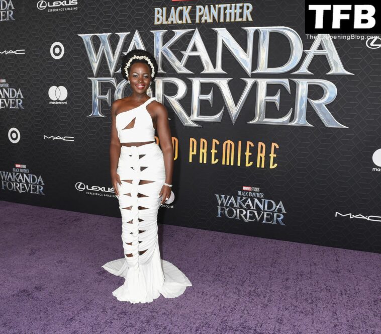 Lupita Nyong’o Looks Stunning at the “Black Panther: Wakanda Forever” Premiere in LA (24 Photos)