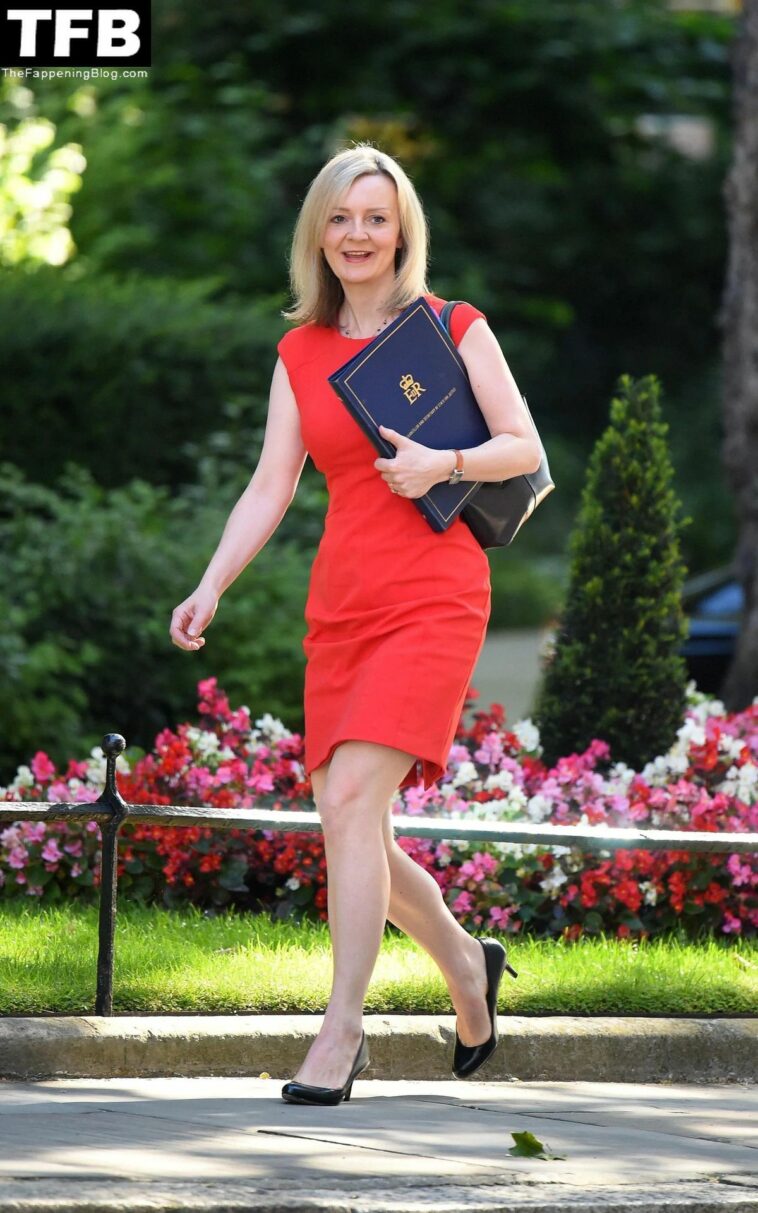 Liz Truss Sexy (11 Photos)