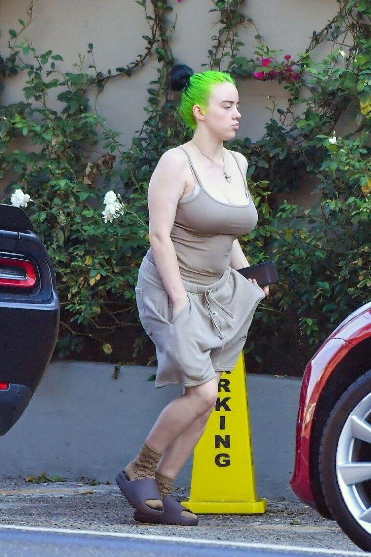 Billie Eilish Huge Boobs