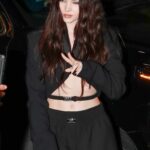 Dove Cameron Looks Hot While Attending a Party in Beverly Hills (27 Photos + Video)