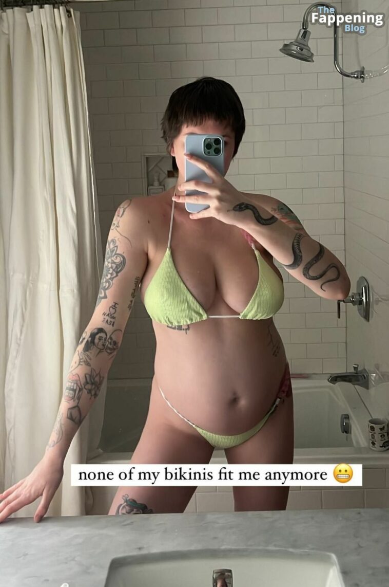 Ireland Baldwin Looks Hot in Bikinis During Her Pregnancy (7 Photos)