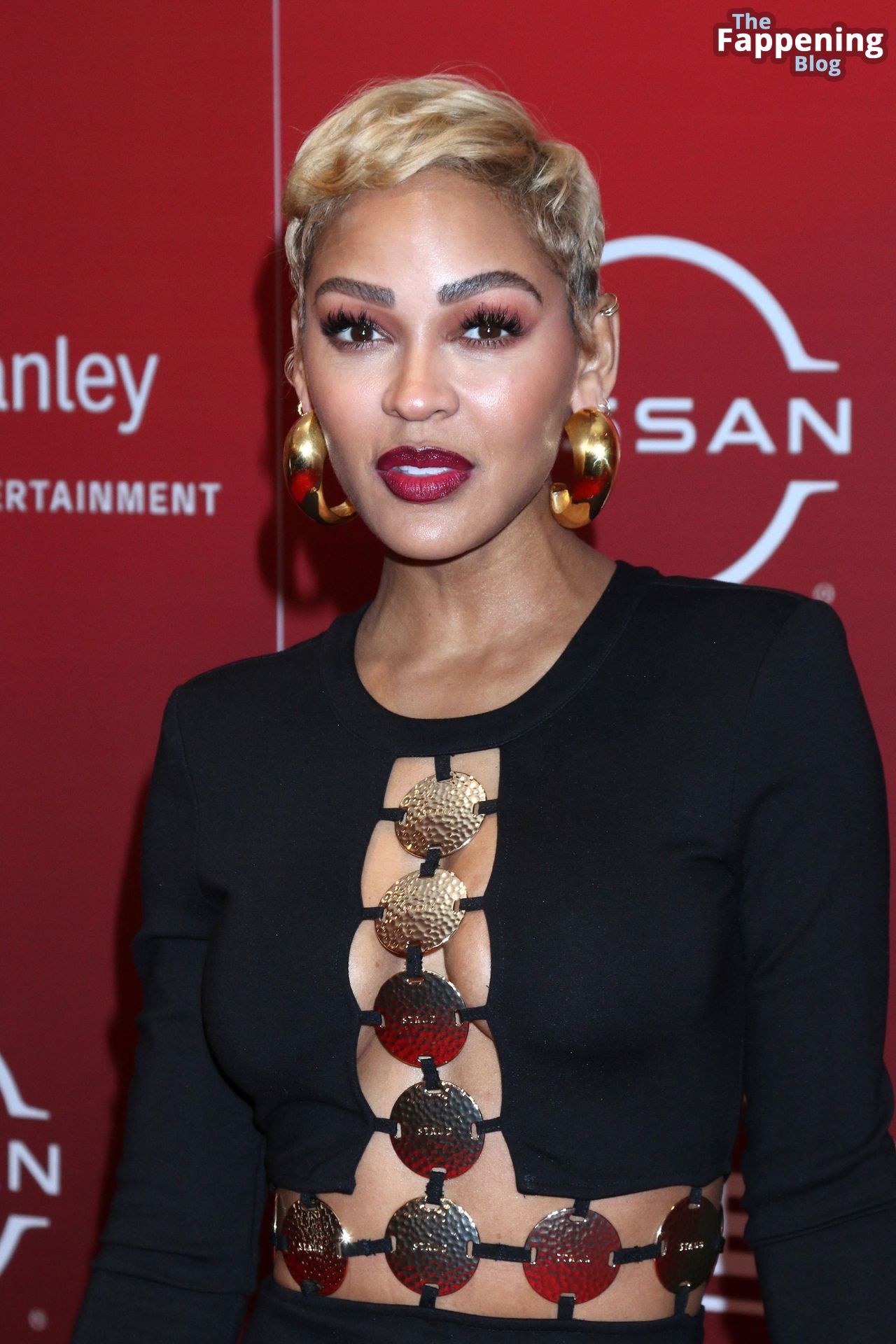 Meagan Good Displays Her Sexy Tits at the 14th Annual AAFCA Awards (50 Photos)