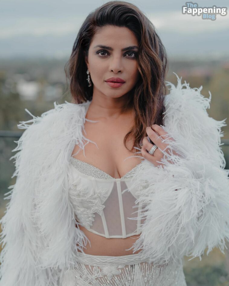 Priyanka Chopra Sexy (11 Photos)