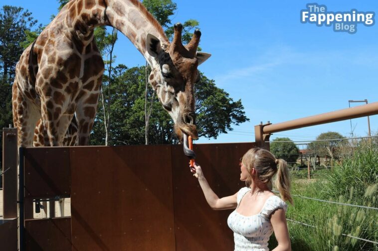 Giraffes Love Sydney Sweeney (Photos)