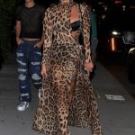 Anastasia Karanikolaou is Seen in a Leopard Print Dress at the D&G Logo Bag Launch (18 Photos)