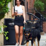 Emily Ratajkowski Looks Hot as She Goes Braless While Walking Her Dog in NY (23 Photos)