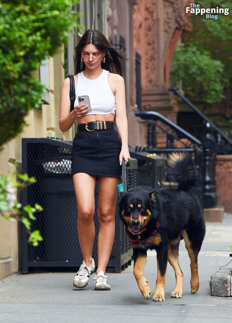 Emily Ratajkowski Looks Hot as She Goes Braless While Walking Her Dog in NY (23 Photos)