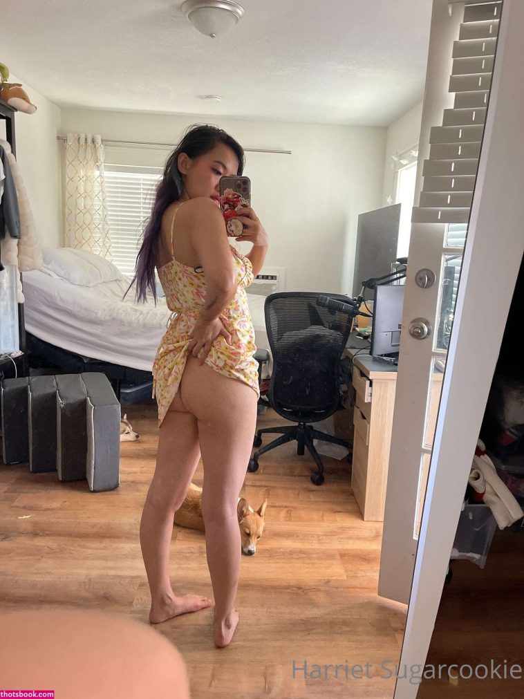 Harriet Sugarcookie Photos #10 Nude Leak