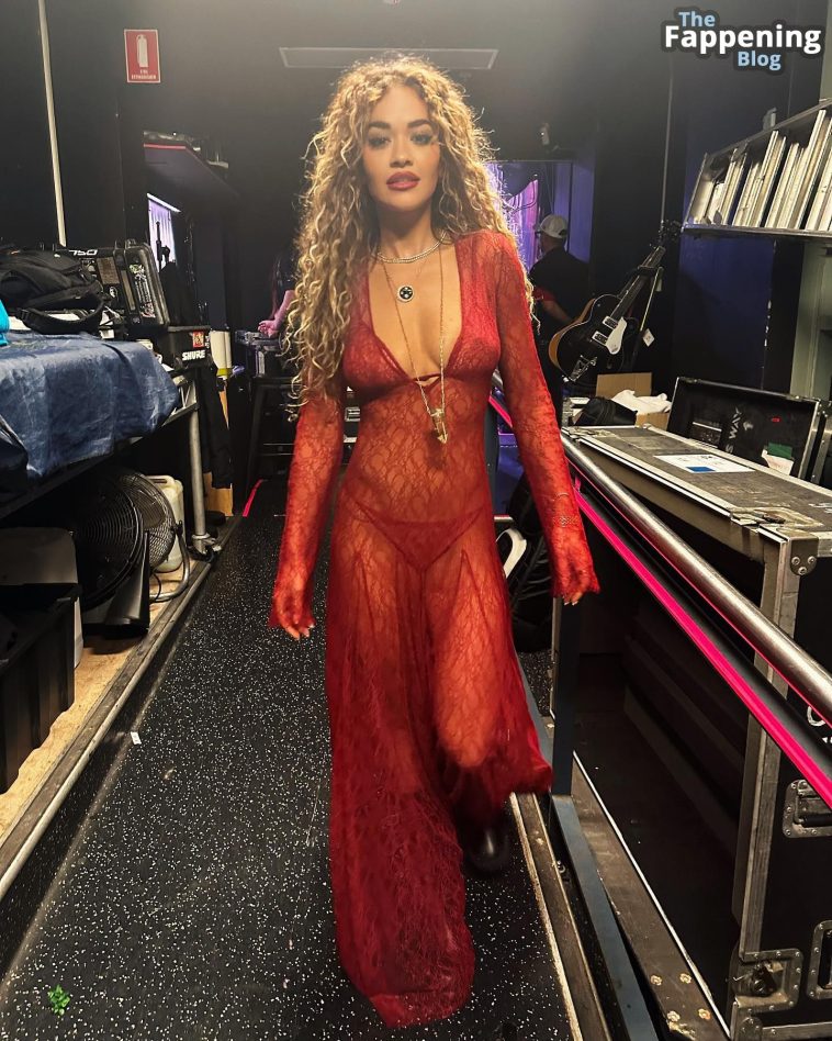 Rita Ora Flaunts Her Stunning Figure in a Sheer Dress (6 Photos)