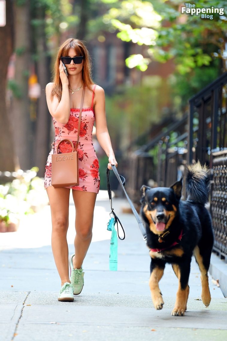 Emily Ratajkowski Displays Her Sexy Legs while Taking Colombo Out for a Stroll in NYC (66 Photos)