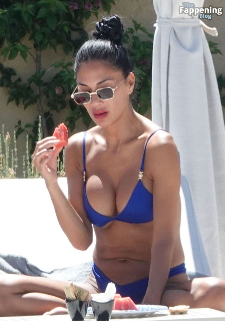 Nicole Scherzinger Hot (8 Photos)