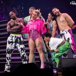 Pink Flaunts Her Assets on Stage at Gainbridge Fieldhouse (19 Photos)