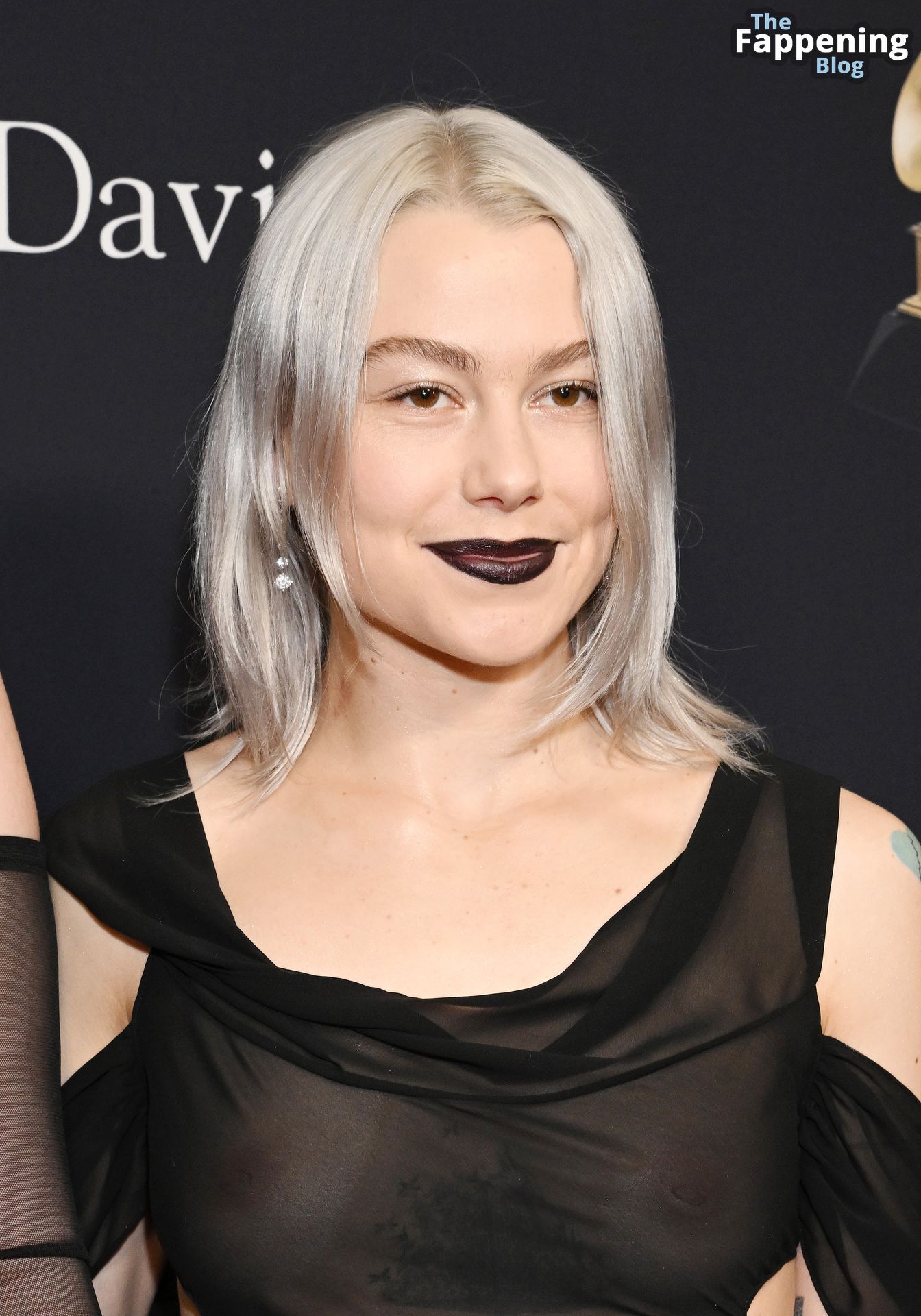 Phoebe Bridgers Flashes Her Nude Tits at the Pre-GRAMMY Gala (5 Photos)