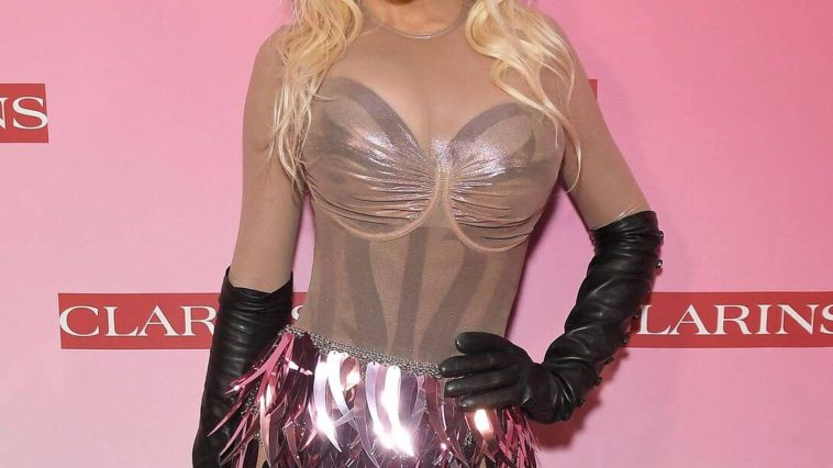 Christina Aguilera Looks Hot at the CLARINS Event (18 Photos)