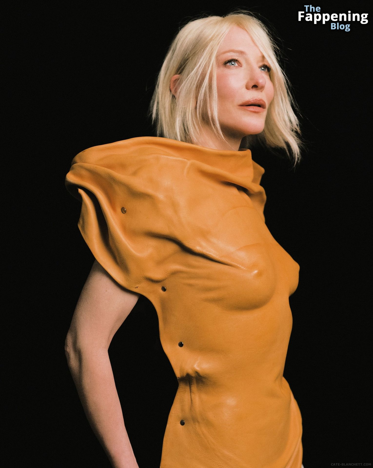 Cate Blanchett Sexy - CAP 74024 Magazine (19 Photos)