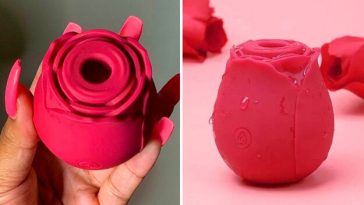 Exploring the Trend: Why Are People Using Rose Toys?
