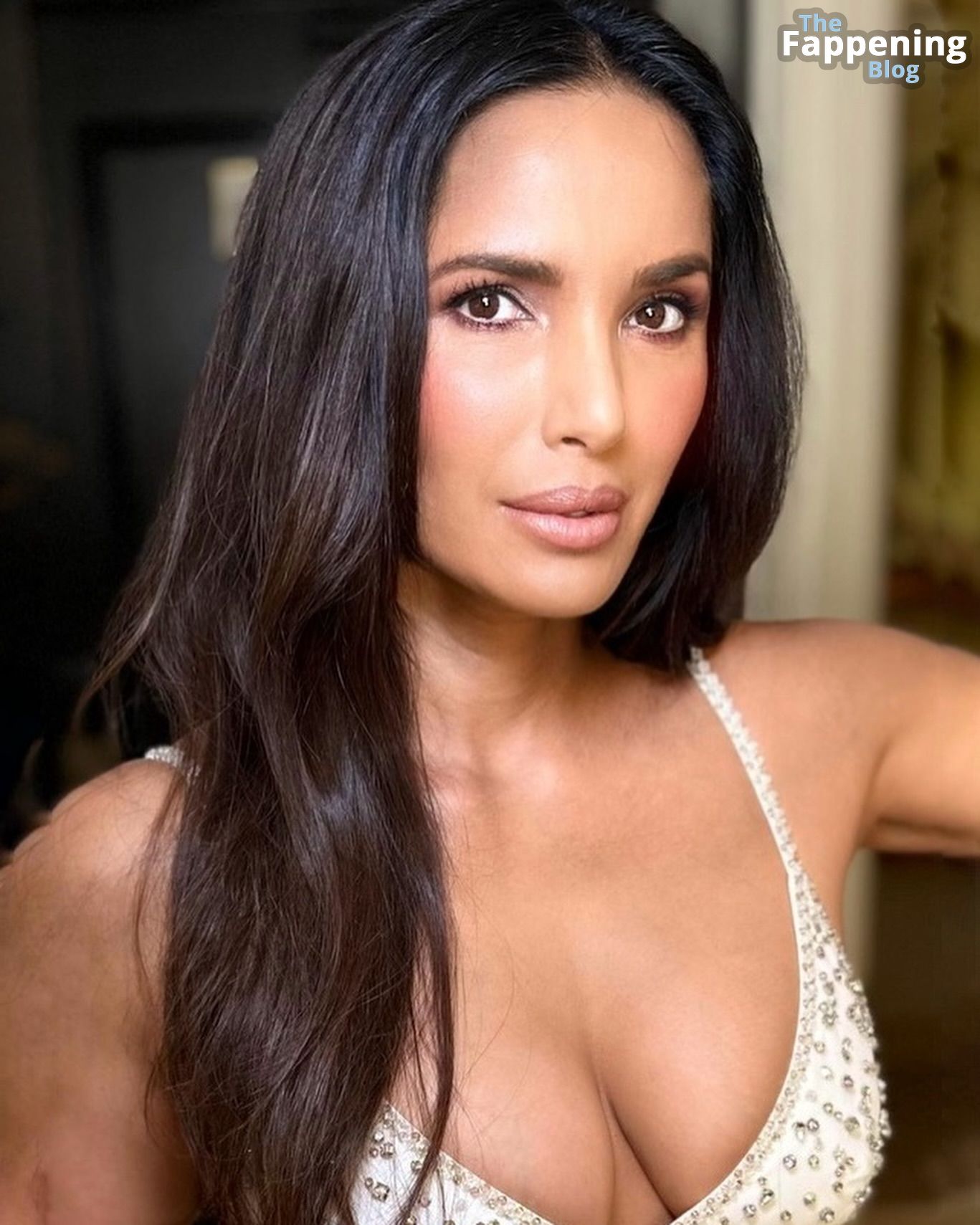 Padma Lakshmi Sexy (6 Photos)