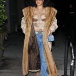 Rihanna Turns Heads in Luxe Fur and Satin Corset for Dinner in Santa Monica (58 Photos)