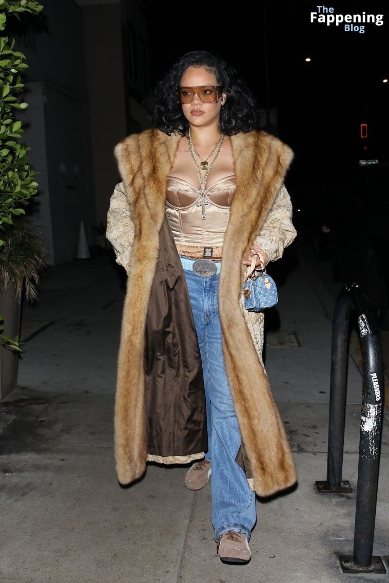 Rihanna Turns Heads in Luxe Fur and Satin Corset for Dinner in Santa Monica (58 Photos)